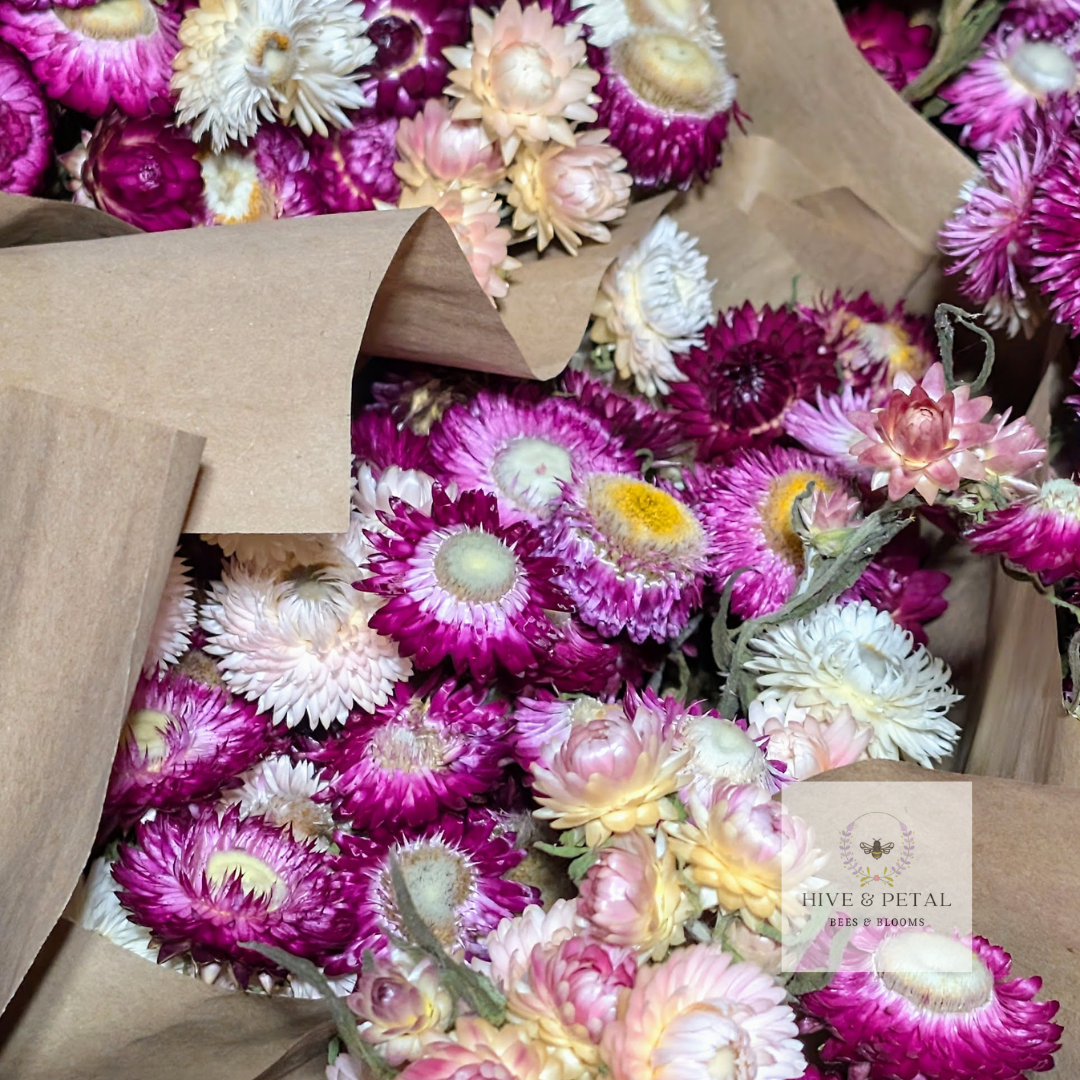 Dried Flower Bouquet - Farmer’s Choice (Shippable)