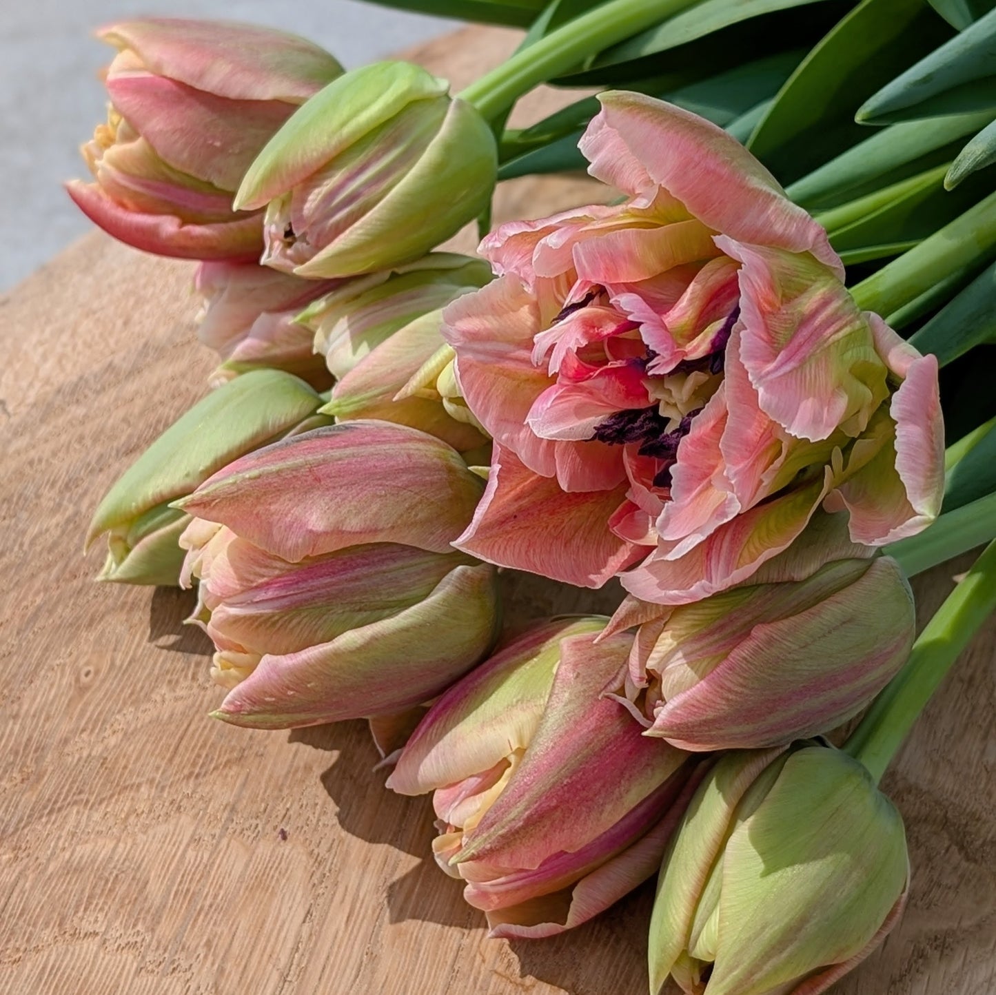 Tulip Bouquet Subscription CSA Share (Local)