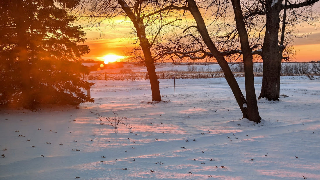Winter sunrises are my favorite