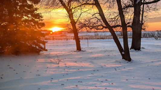 Winter sunrises are my favorite