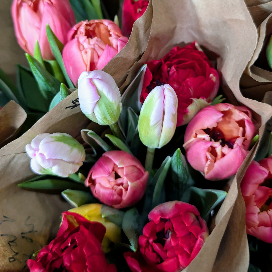 Pink and red specialty tulips wrapped in brown paper