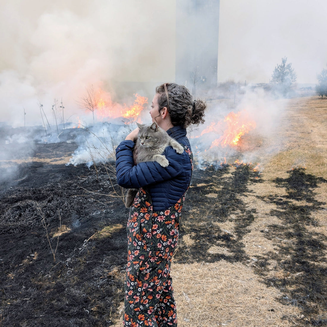 Prairie Fire and New Beginnings