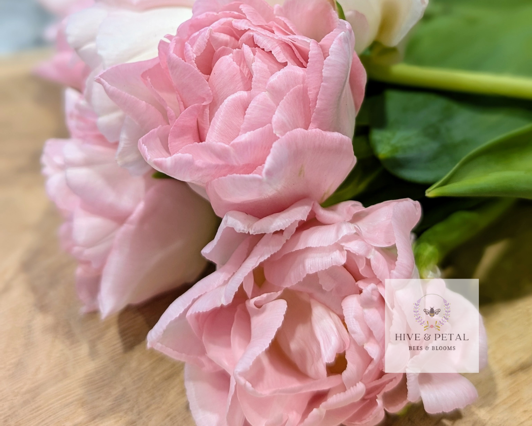 Close-up of pink and white flowers with a blurred background