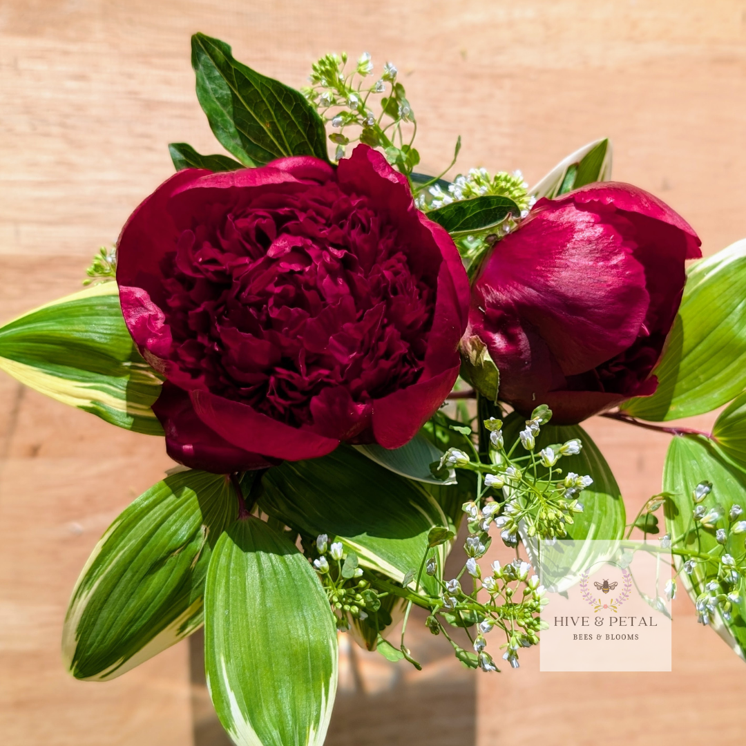 Bucket of Peonies (Local)