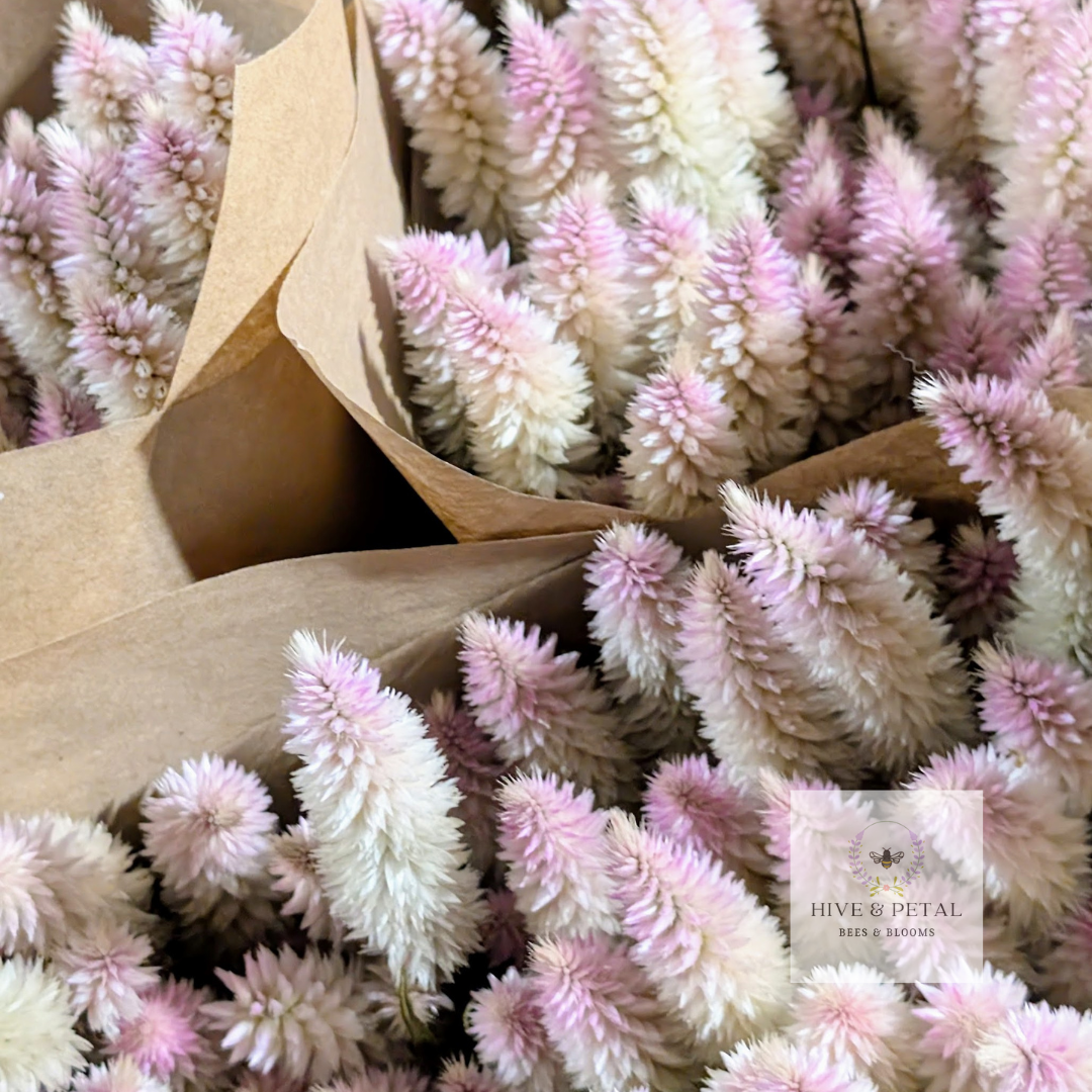 Dried Flower Bouquet - Farmer’s Choice (Shippable)