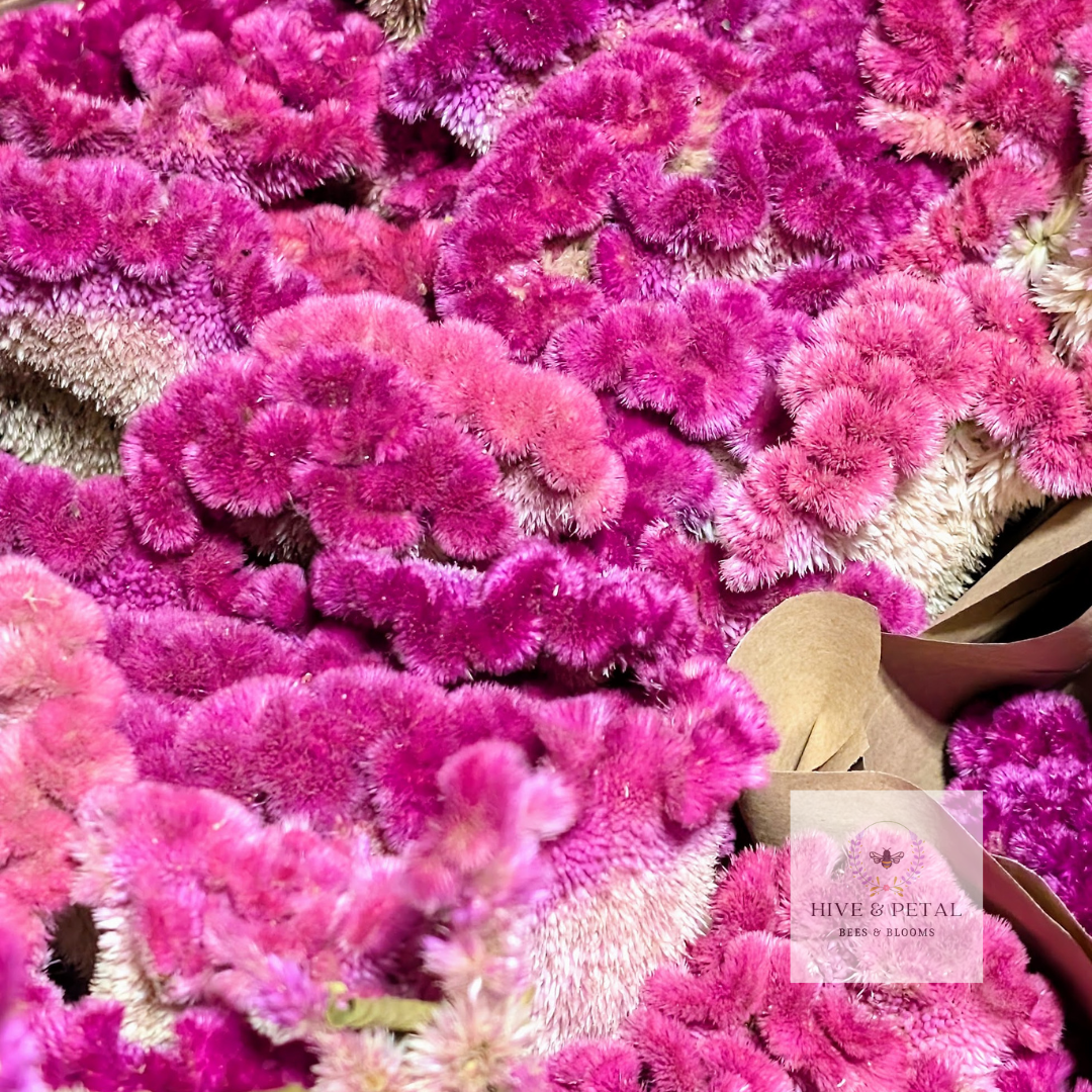 Dried Flower Bouquet - Farmer’s Choice (Shippable)