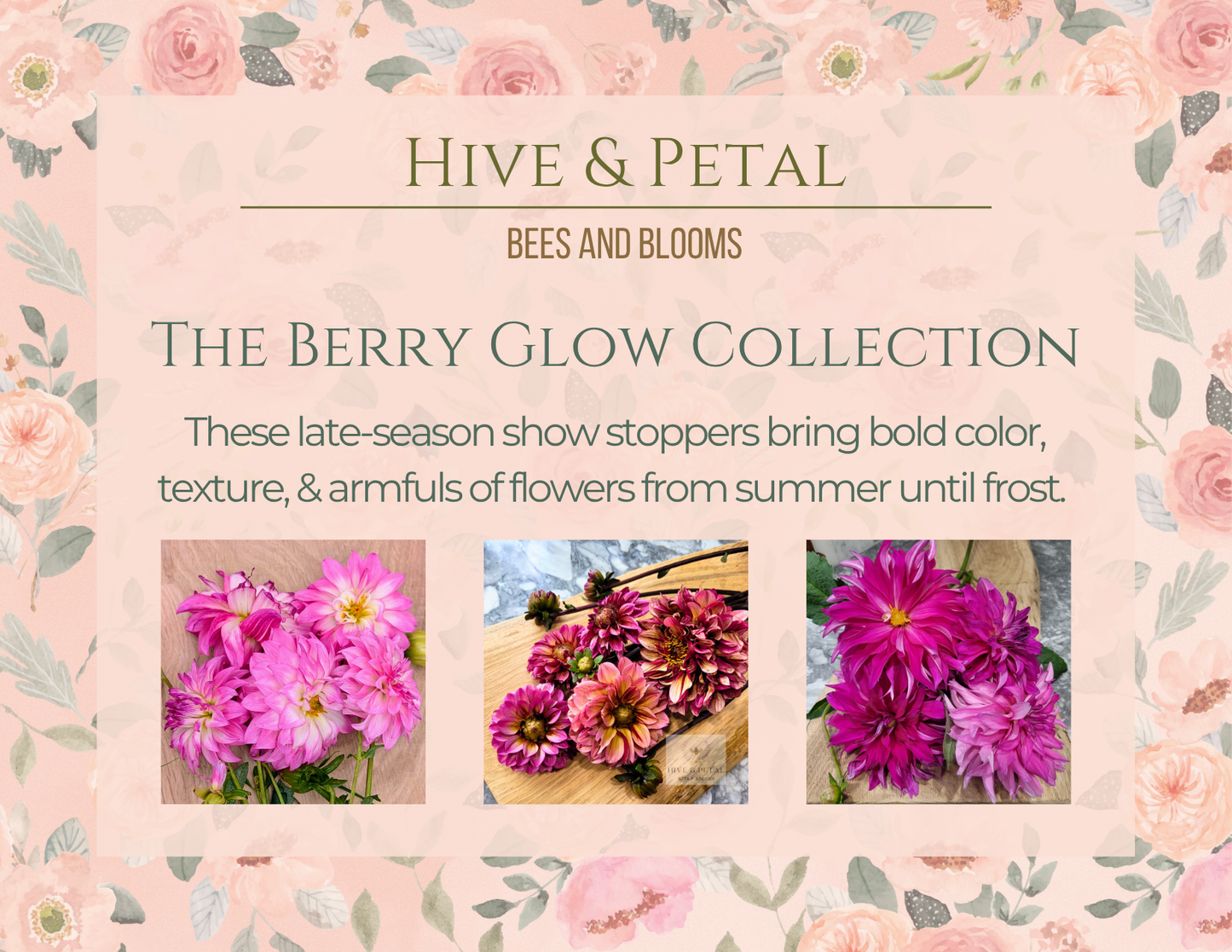 Advertisement for 'Hive & Petal' berry glow collection with floral design and text.