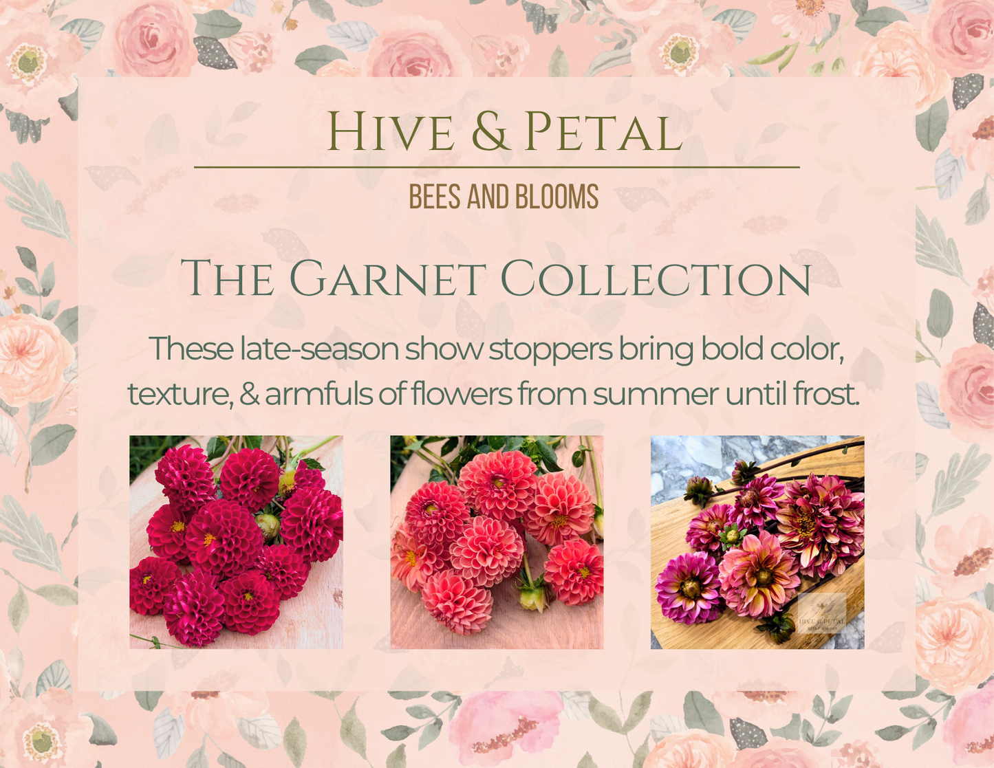 Advertisement for 'Hive & Petal' with images of flowers and text about the Garnet Collection.
