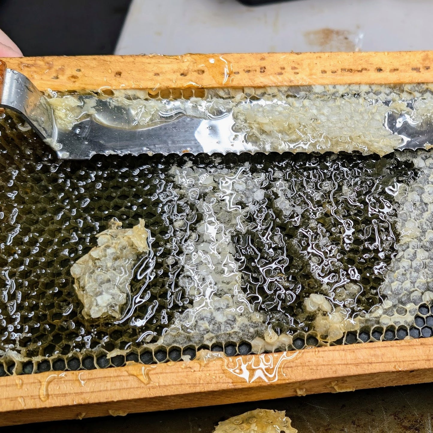 100% Pure Raw Honey