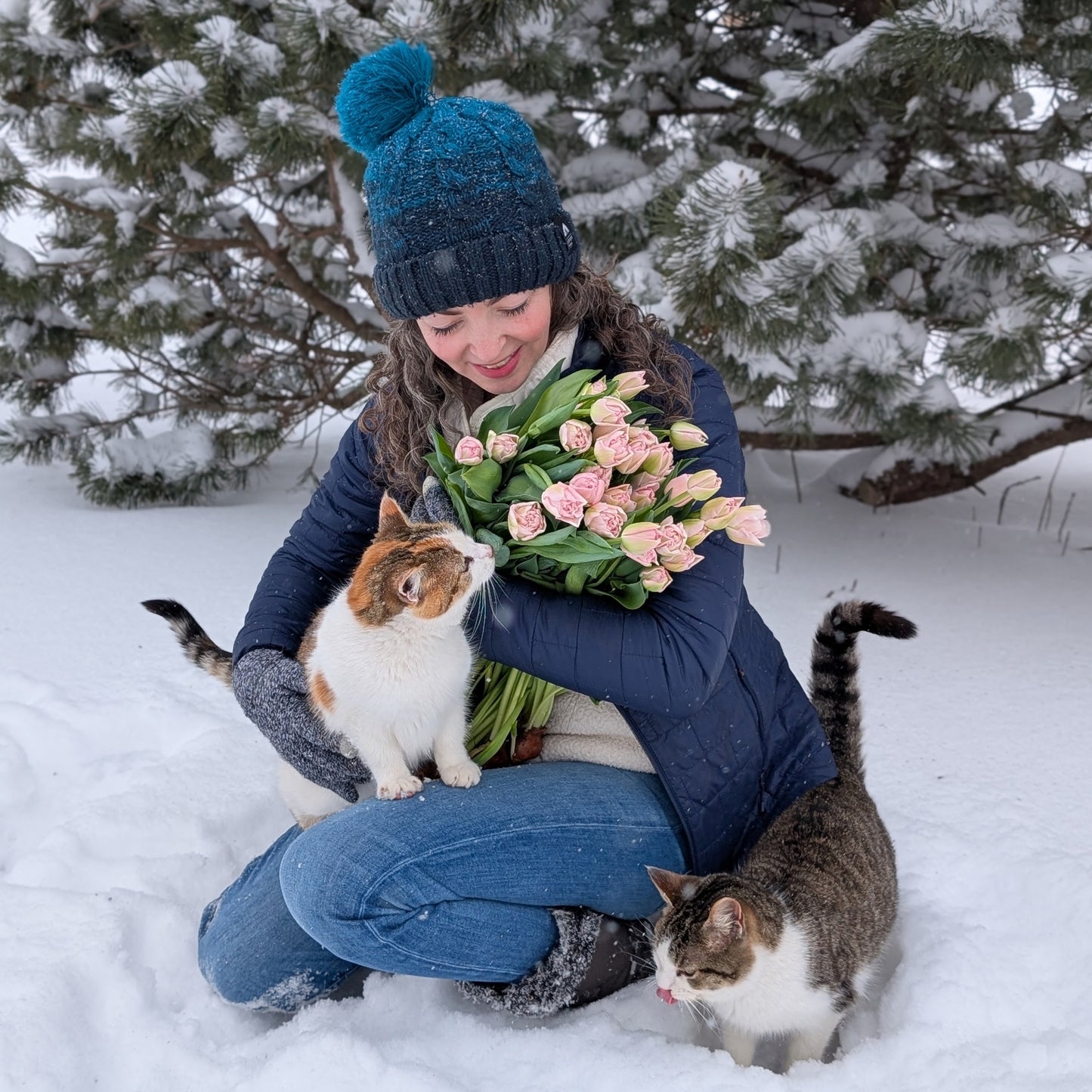 Tulip Bouquet Subscription CSA Share (Local)