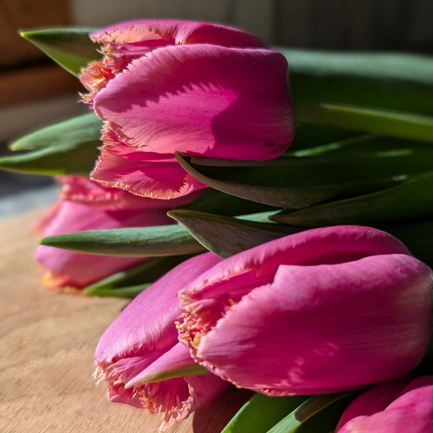 Tulip Bouquet Subscription CSA Share (Local)