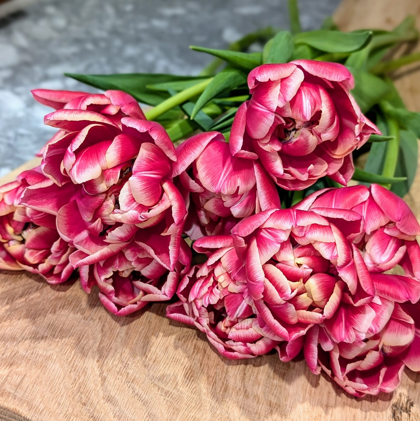 Tulip Bouquet Subscription CSA Share (Local)