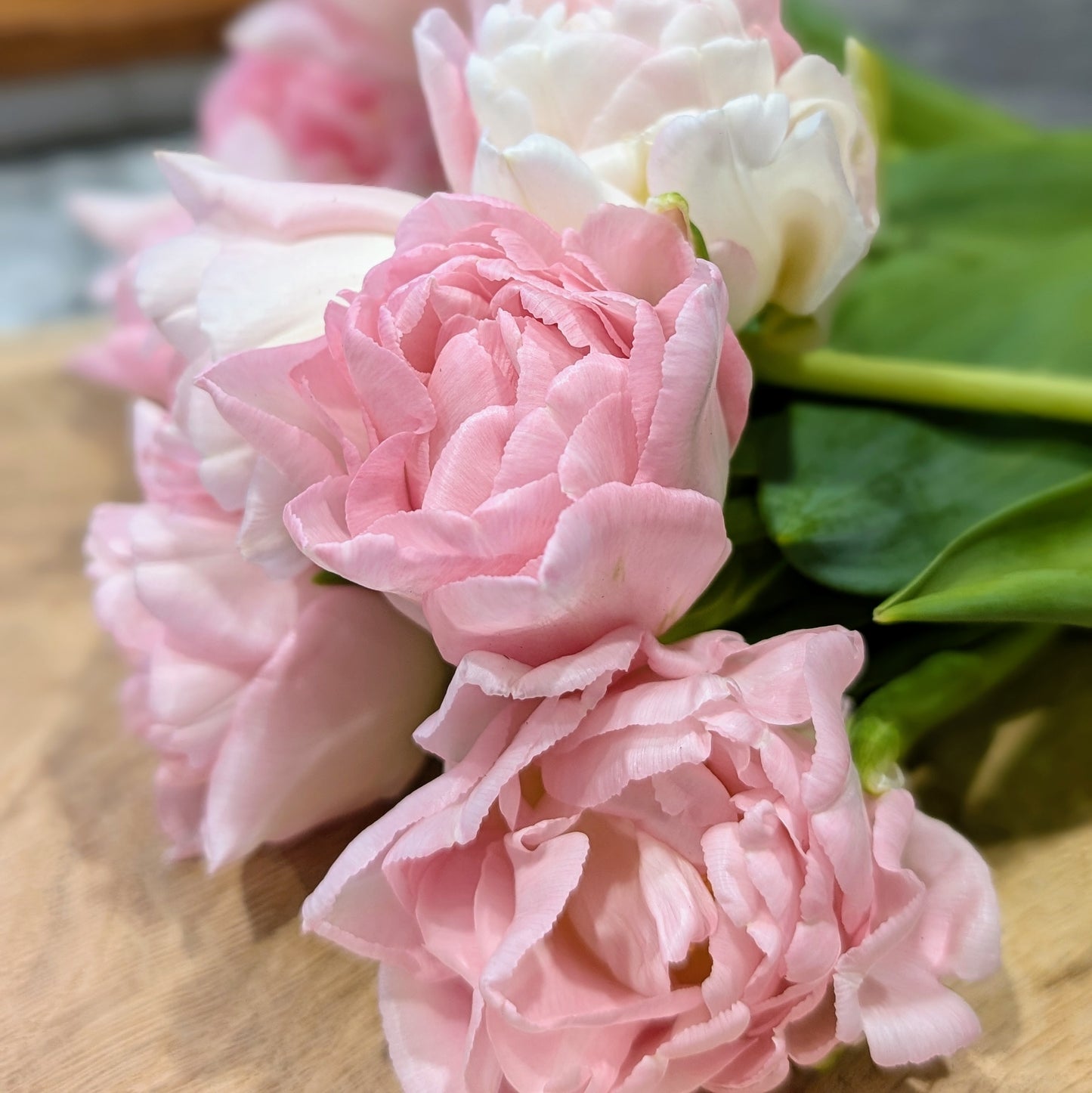 Tulip Bouquet Subscription CSA Share (Local)