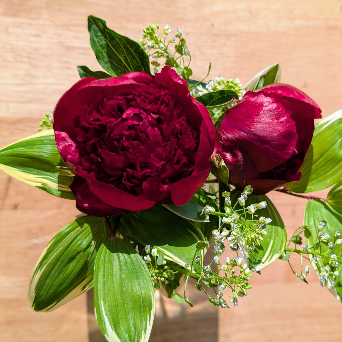 Peony Bouquet Subscription CSA Share (Local)