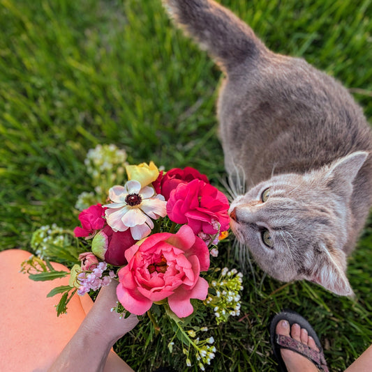 Peony Bouquet Subscription CSA Share (Local)