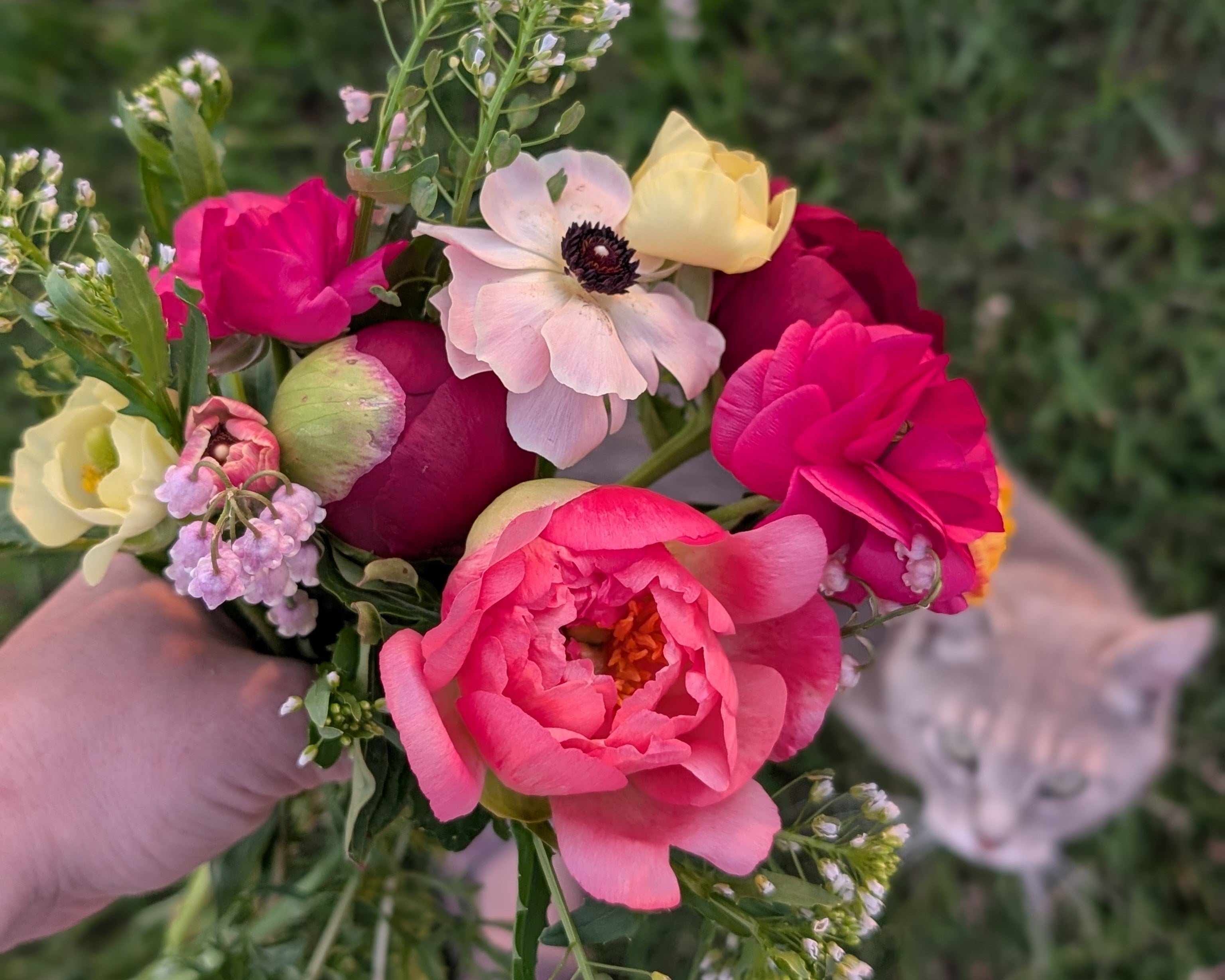 Bouquet of colorful flowers held by a person with a blurred background