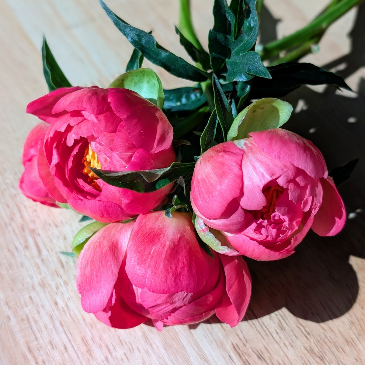 Peony Bouquet Subscription CSA Share (Local)