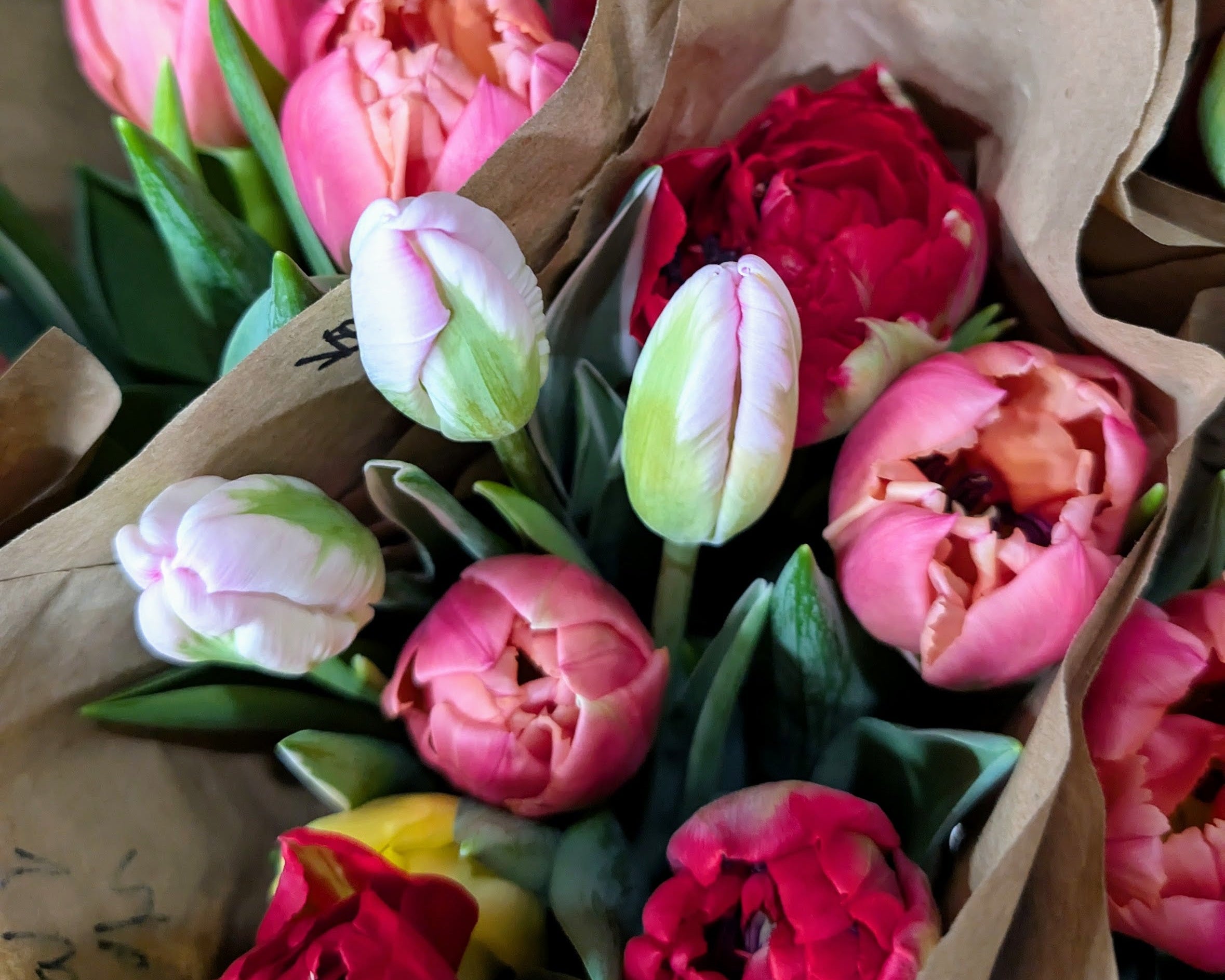 Bouquet of pink, red, and white tulips wrapped in brown paper.
