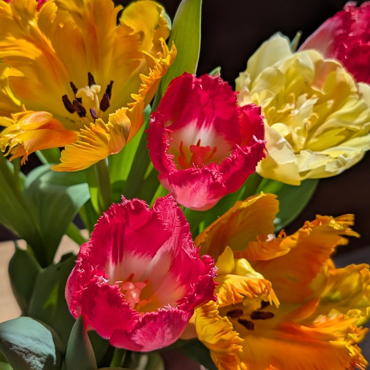 Mixed Floral Bouquet - Farmer's Choice (Local)