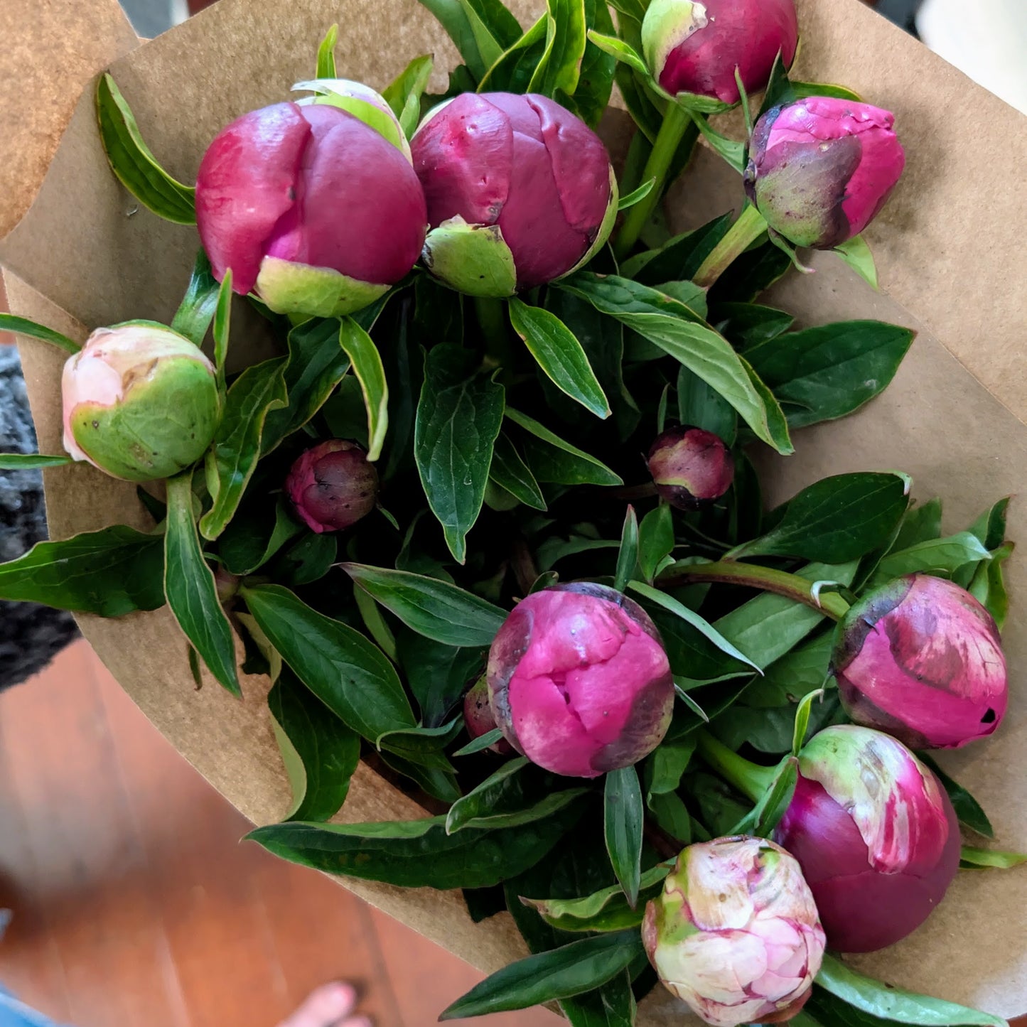 Peony Bouquet - Farmer's Choice (Local)
