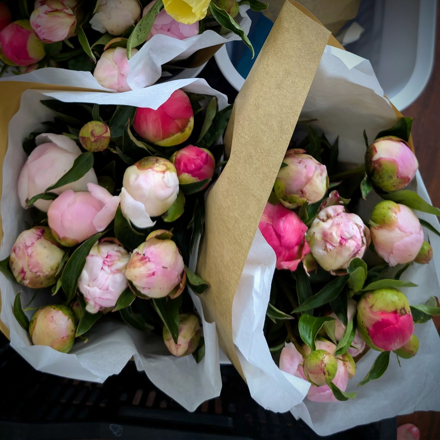 Peony Bouquet - Farmer's Choice (Local)