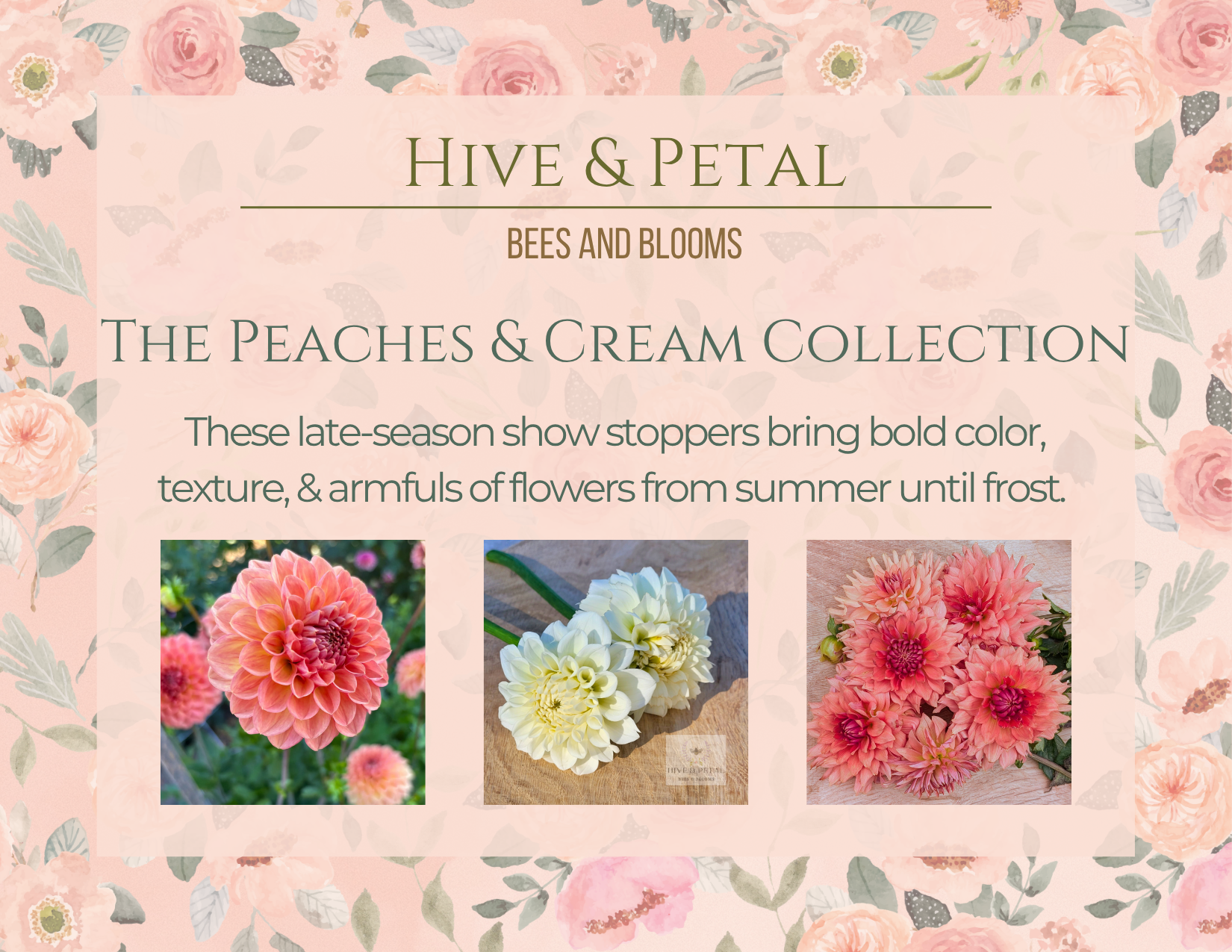 Promotional image for 'Hive & Petal' peaches & cream collection with floral design.