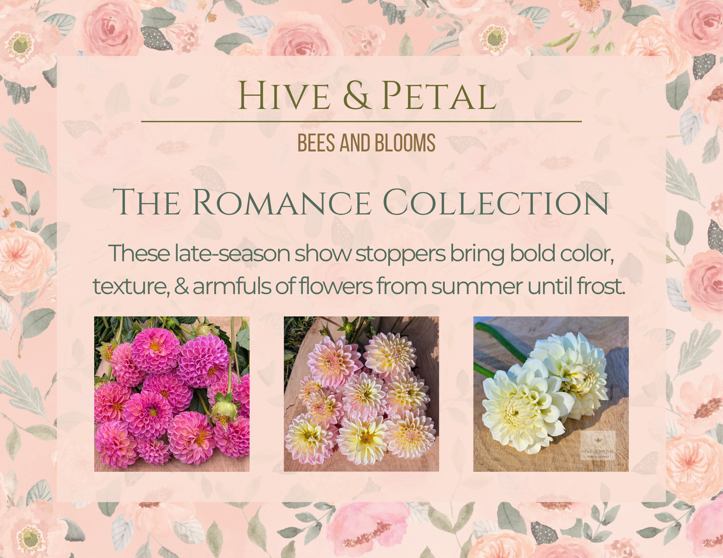Advertisement for 'Hive & Petal' flower collection with text and floral images on a pink background.