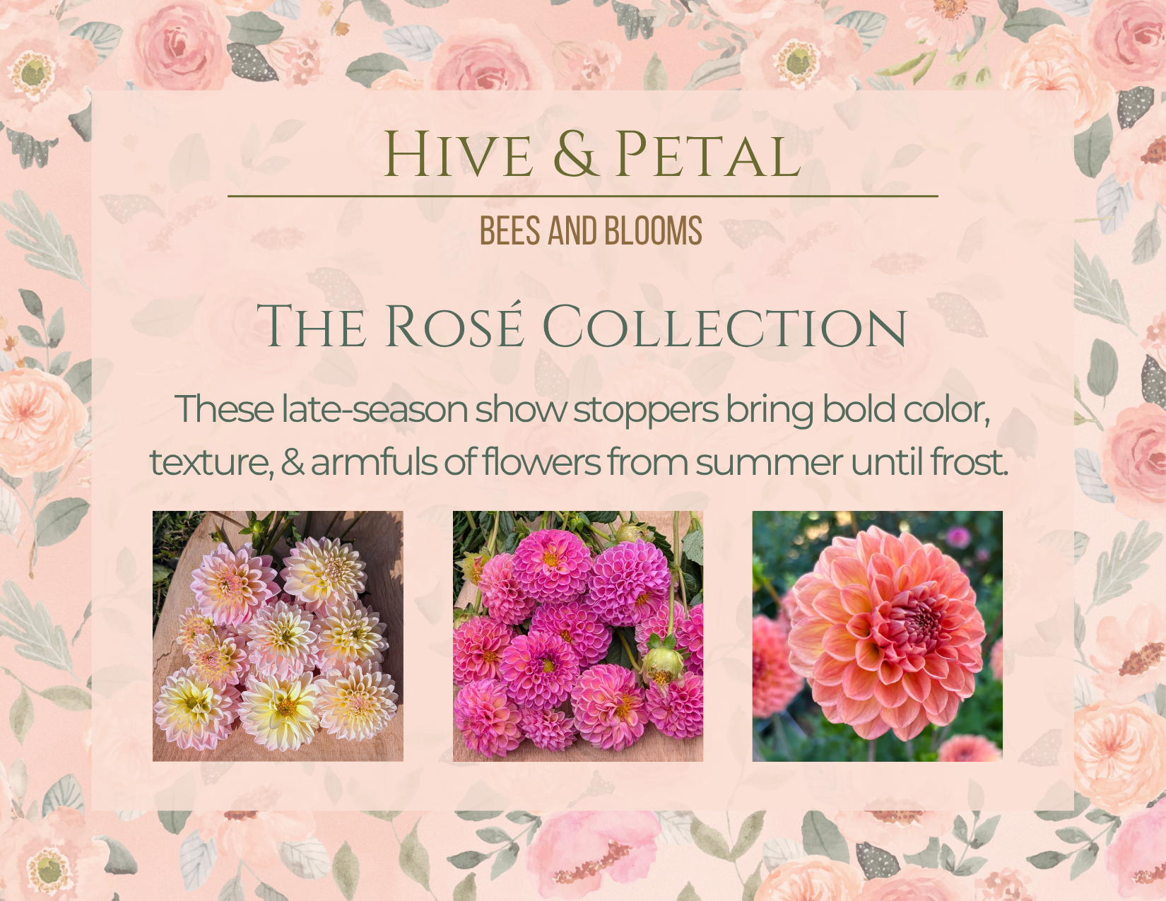 Advertisement for 'Hive & Petal' Rosé Collection featuring flowers on a floral patterned background.