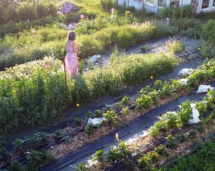 Woman in a pink dress standing in a lush garden with rows of plants.