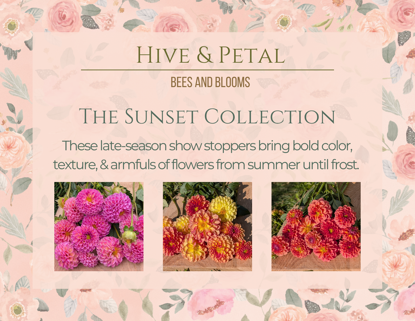 Advertisement for 'Hive & Petal' sunset collection featuring flowers on a floral patterned background.