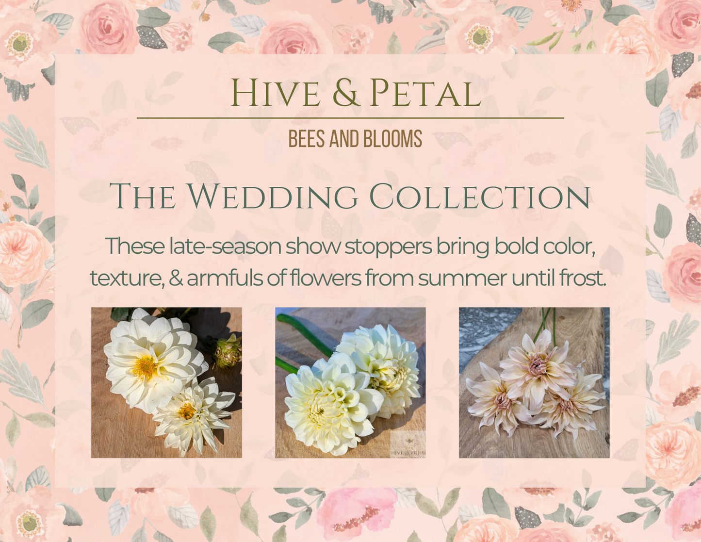 Advertisement for 'Hive & Petal' wedding collection featuring flowers on a floral patterned background.